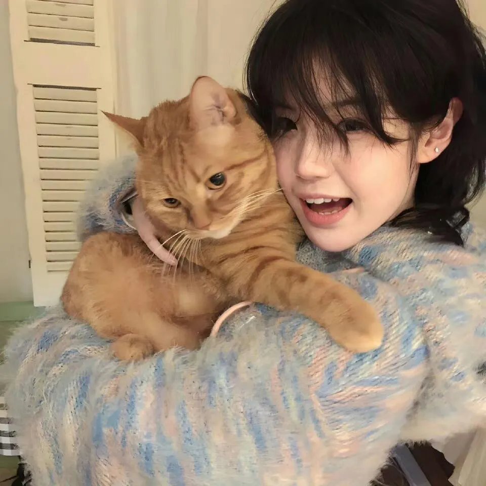 亚马逊萌猴奇遇记国语